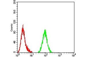 Flow cytometric analysis of Hela cells using TET2 mouse mAb (green) and negative control (red). (TET2 Antikörper)