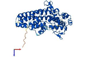 IDO2 Protein (AA 1-405) (His tag)