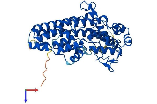 IDO2 Protein (AA 1-405) (His tag)