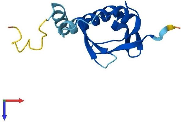 SNRNP25 Protein (AA 1-123) (His tag)