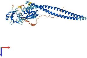 PIK3R3 Protein (AA 1-461) (His tag)
