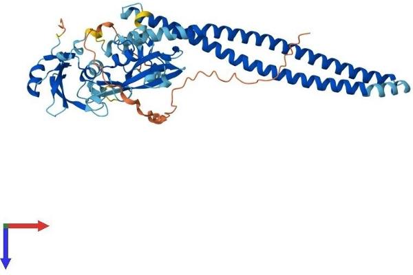 PIK3R3 Protein (AA 1-461) (His tag)