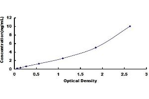 Growth Differentiation Factor 10 (GDF10) ELISA Kit