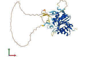 AlphaFold protein structure predicition of Human Recombinant METTL18 Protein, UniprotID O95568