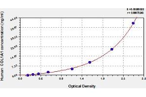 COL1A1 ELISA Kit