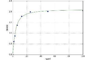 A typical standard curve