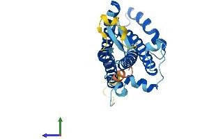 AlphaFold protein structure predicition of Human Recombinant ZDHHC22 Protein, UniprotID Q8N966