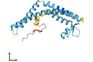 Protein Structure (PS) image for Transmembrane and Coiled-Coil Domains 1 (TMCO1) (AA 1-188) protein (His tag) (ABIN7560196)