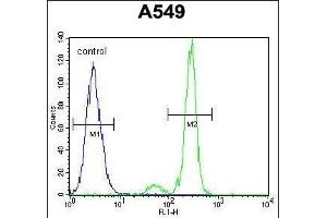 TNFRSF1A Antibody (N-term) (ABIN655208 and ABIN2844822) flow cytometric analysis of A549 cells (right histogram) compared to a negative control cell (left histogram). (TNFRSF1A Antikörper  (N-Term))