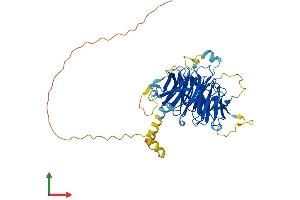 Protein Structure (PS) image for DDB1 and CUL4 Associated Factor 12-Like 2 (DCAF12L2) (AA 1-469) protein (His tag) (ABIN7558588)