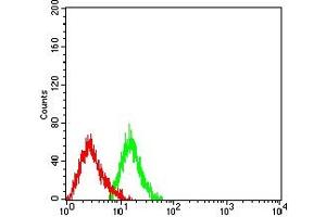 Flow cytometric analysis of HL-60 cells using CD232 mouse mAb (green) and negative control (red). (Plexin C1 Antikörper  (AA 35-234))