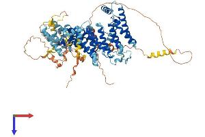 NOC2L Protein (AA 1-747) (His tag)