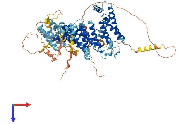 NOC2L Protein (AA 1-747) (His tag)