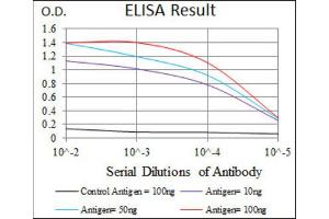 ELISA image for anti-Keratin 5 (KRT5) antibody (ABIN1845565) (Cytokeratin 5 Antikörper)