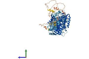 AlphaFold protein structure predicition of Human Recombinant SLC12A4 Protein, UniprotID Q9UP95