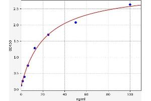 IFNAR2 ELISA Kit