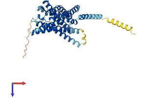 GPR183 Protein (AA 1-357) (His tag)