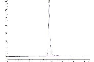 The purity of Human SPP1 is greater than 95 % as determined by SEC-HPLC. (Osteopontin Protein (AA 17-300) (His tag))