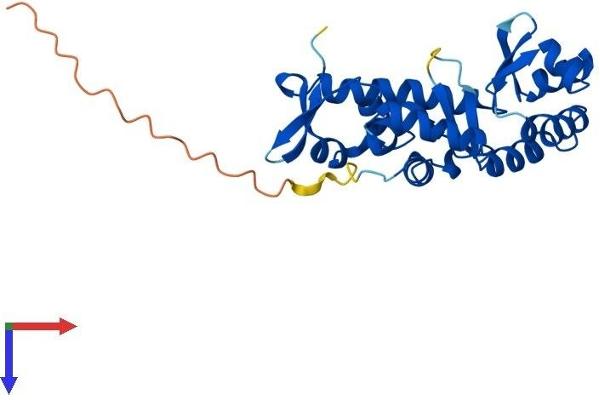 STK19 Protein (AA 1-254) (His tag)