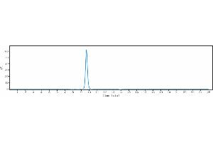 anti-Solute Carrier Family 40 (Iron-Regulated Transporter), Member 1 (SLC40A1) antibody