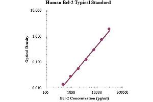 ELISA image for B-Cell CLL/lymphoma 2 (BCL2) ELISA Kit (ABIN4993797) (Bcl-2 ELISA Kit)