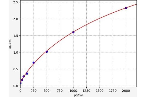 CCL3 ELISA Kit