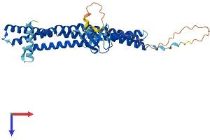 SH3GL1 Protein (AA 1-368) (His tag)