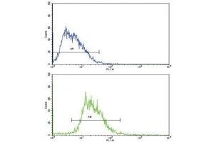 Flow cytometric analysis of HepG2 cells using SOX-9 antibody (bottom histogram) compared to a negative control (top histogram).