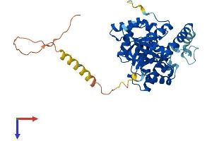 KCNAB1 Protein (AA 1-401) (His tag)