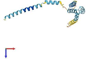 TOMM20L Protein (AA 1-152) (His tag)