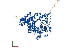 Protein Structure (PS) image for Transaldolase 1 (TALDO1) (AA 1-337) protein (His tag) (ABIN7560287)
