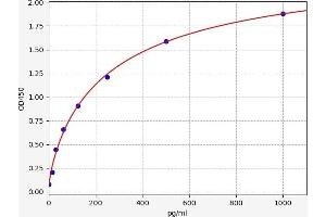 REG3A ELISA Kit