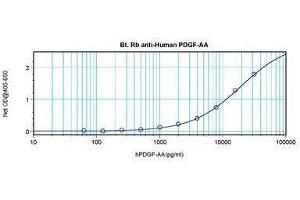 Image no. 1 for anti-PDGF-AA Homodimer antibody (Biotin) (ABIN465591) (PDGF-AA Homodimer Antikörper (Biotin))