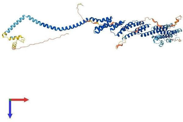 COG8 Protein (AA 1-640) (His tag)