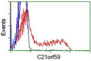 HEK293T cells transfected with either RC200169 overexpress plasmid (Red) or empty vector control plasmid (Blue) were immunostained by anti-C21orf59 antibody (ABIN2452867), and then analyzed by flow cytometry. (C21orf59 Antikörper)