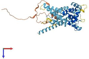 SLC25A28 Protein (AA 1-364) (His tag)