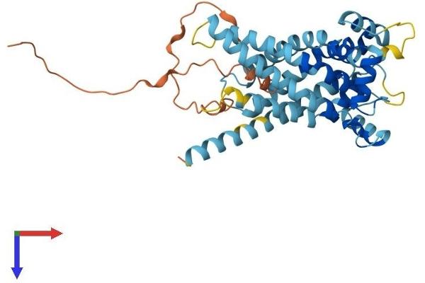 SLC25A28 Protein (AA 1-364) (His tag)