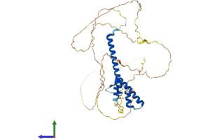 Protein Structure (PS) image for Neurogenic Differentiation 2 (NEUROD2) (AA 1-383) protein (His tag) (ABIN7563964)