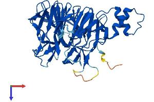 KLHDC3 Protein (AA 1-382) (His tag)