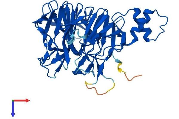 KLHDC3 Protein (AA 1-382) (His tag)