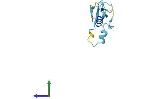 Protein Structure (PS) image for Ring-Box 1, E3 Ubiquitin Protein Ligase (RBX1) (AA 1-108) protein (His tag) (ABIN7563501)