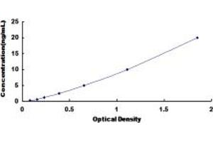 OSBPL8 ELISA Kit