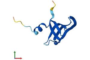 Protein Structure (PS) image for LSM6 Homolog, U6 Small Nuclear RNA Associated (LSM6) (AA 1-80) protein (Fc Tag) (ABIN7556603)