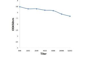 Antigen: 0. (RNH1 Antikörper  (AA 101-200))