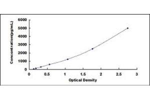 Typical standard curve (BAFF ELISA Kit)