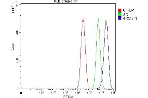 Flow Cytometry analysis of 293T cells using anti-Nkx2. (NK2 Homeobox 5 Antikörper  (AA 15-132))