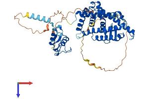 NR1H2 Protein (AA 1-460) (His tag)