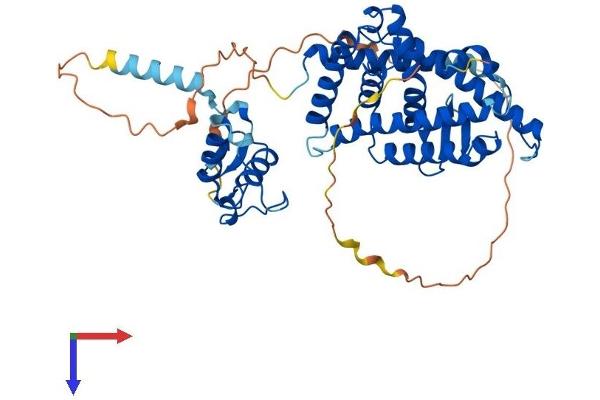 NR1H2 Protein (AA 1-460) (His tag)