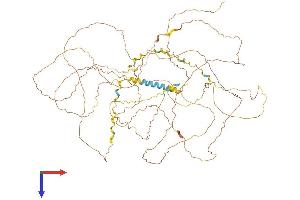 FSCB Protein (AA 1-825) (His tag)