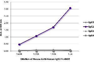 ELISA plate was coated with purified human IgG1, IgG2, IgG3, and IgG4. (Maus anti-Human IgG2 (Fc Region) Antikörper (Biotin))